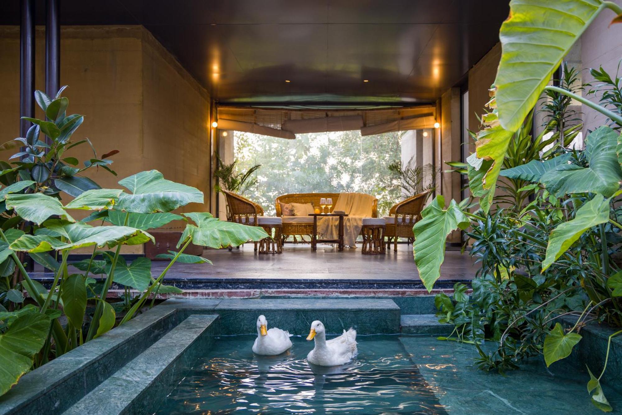 Elivaas Hari Bagh 4 Bhk Villa With Gaming Zone & Art Nook Jaipur Ngoại thất bức ảnh