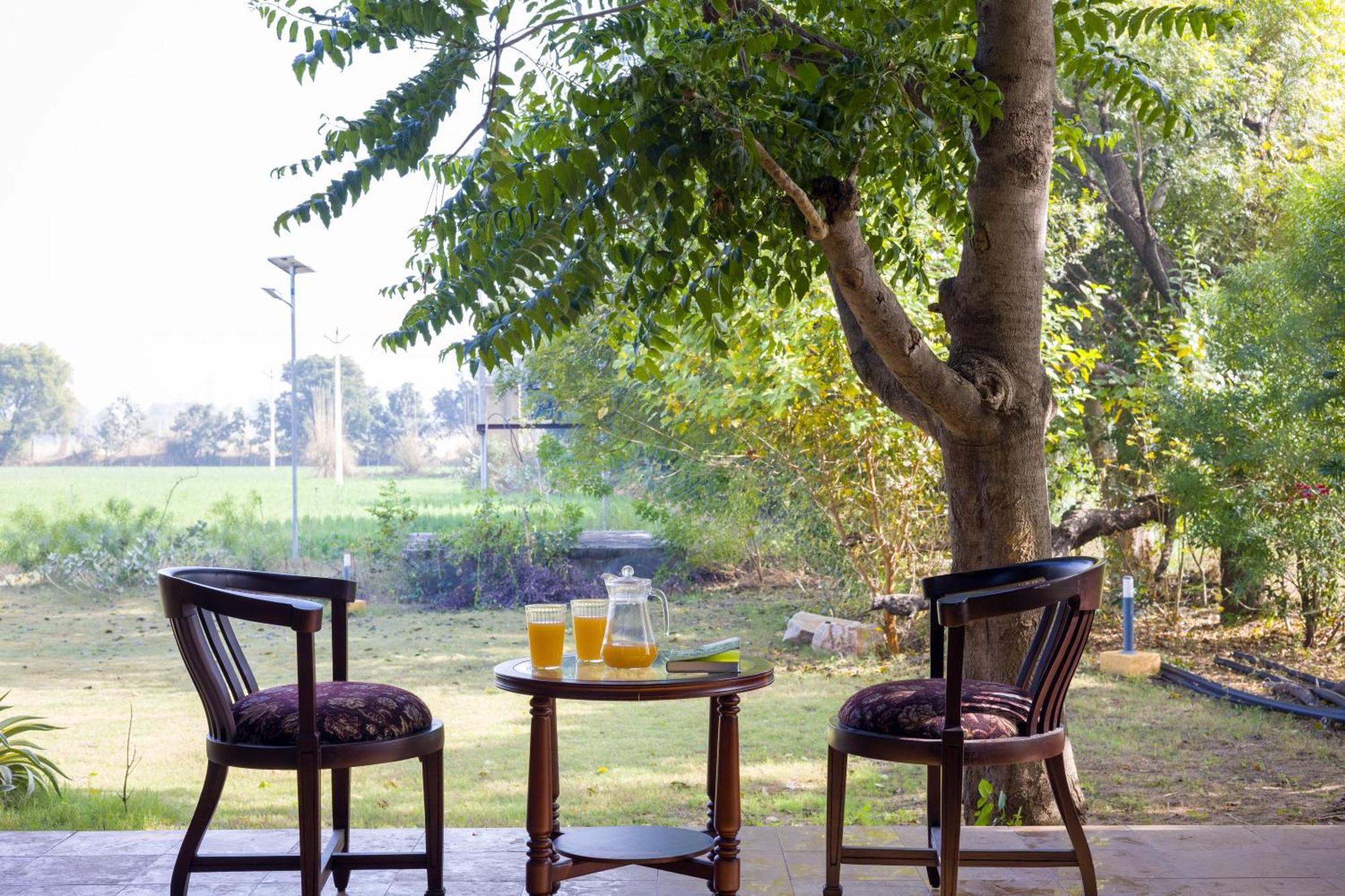 Elivaas Hari Bagh 4 Bhk Villa With Gaming Zone & Art Nook Jaipur Ngoại thất bức ảnh